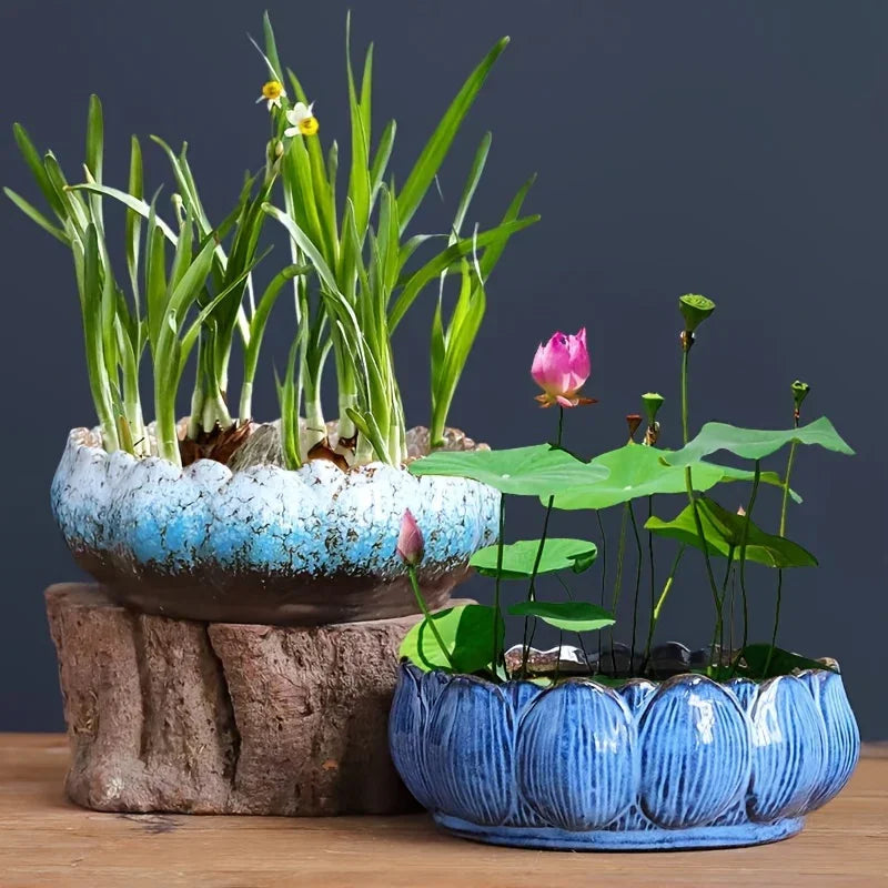 ceramic hydroponic planter 1pc Casual Style Ceramic Flower Pot, Round Tabletop Hydroponic Planter