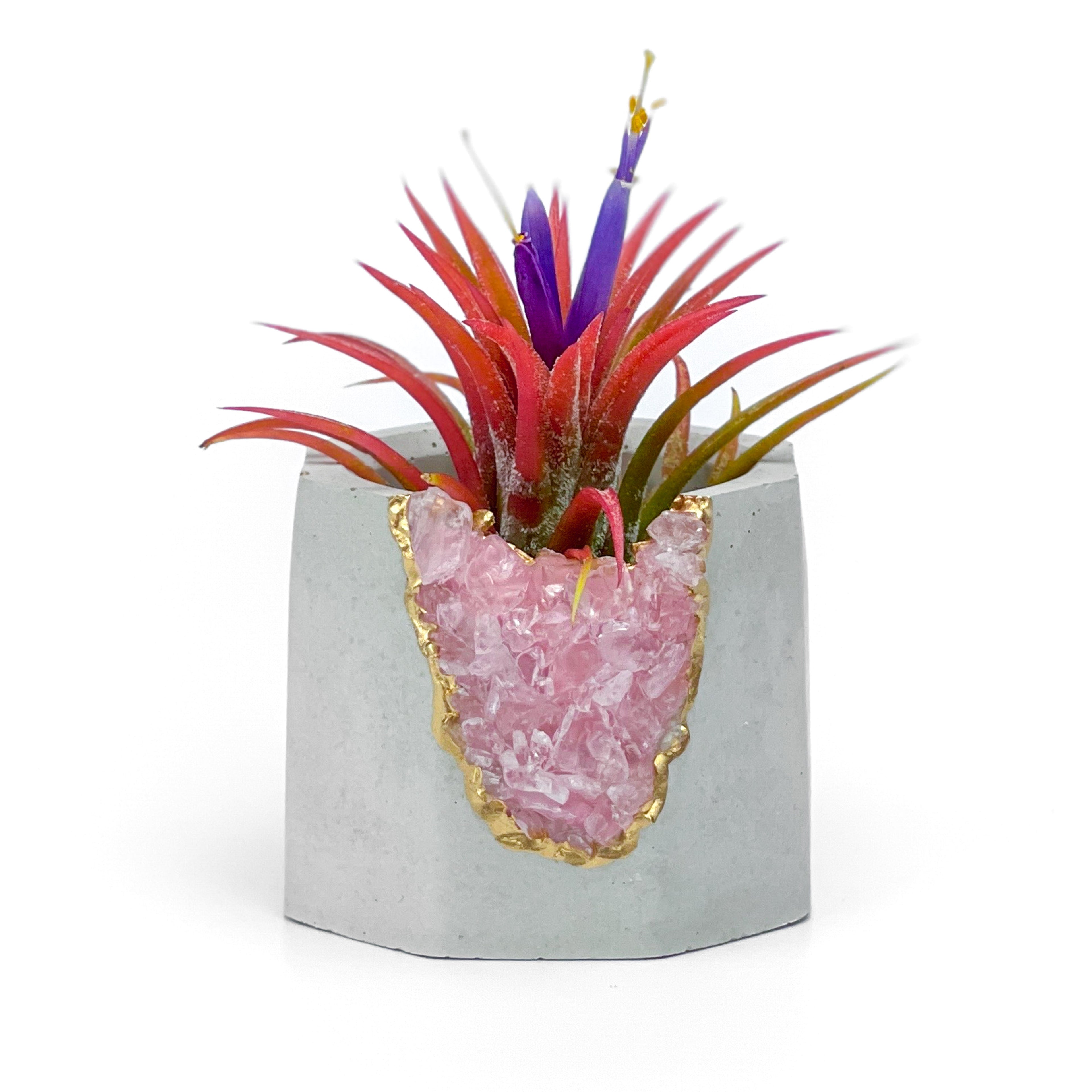 ROSE QUARTZ GEODE PLANTER AURA 8 HOME