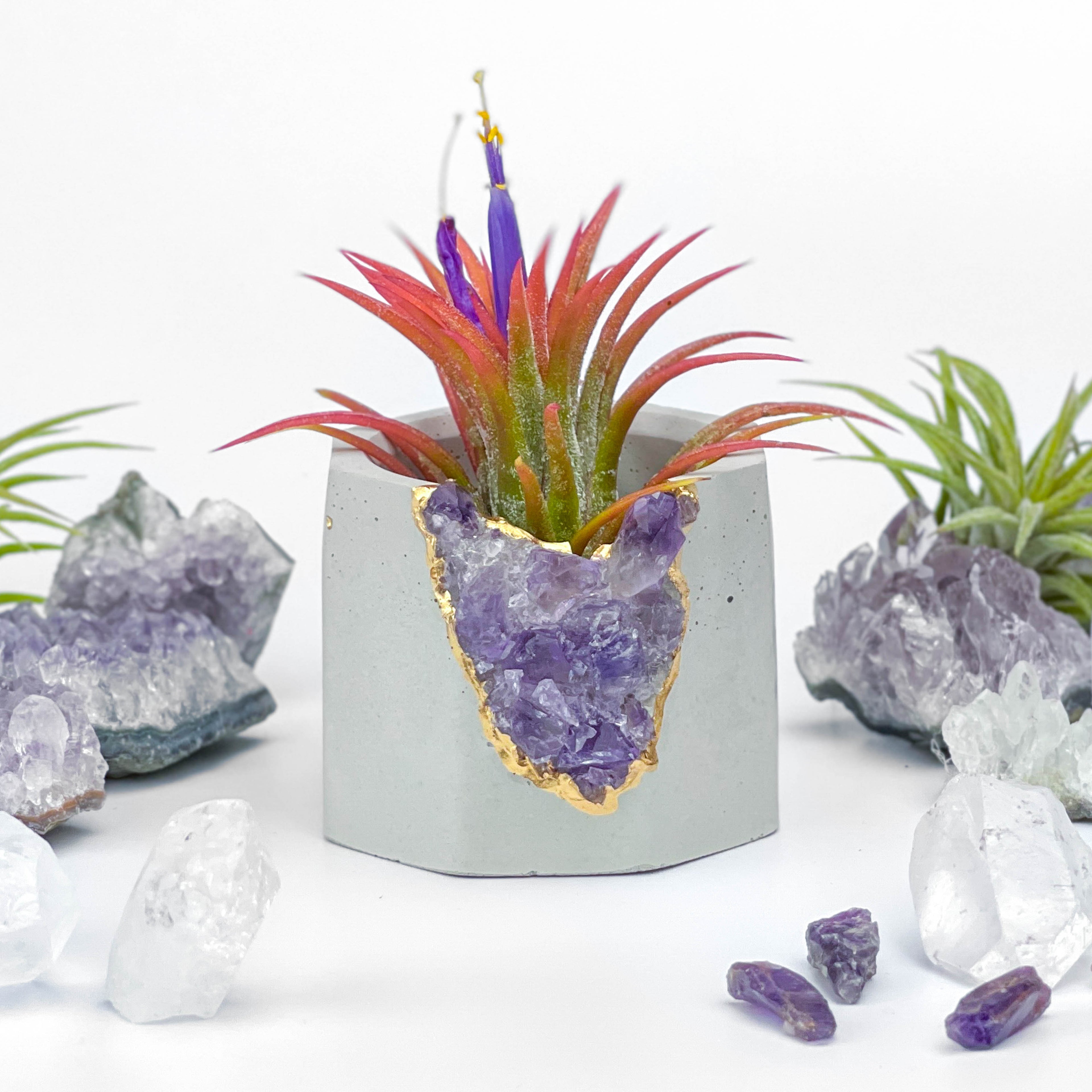 Brazil AMETHYST GEODE PLANTER AURA 8 HOME