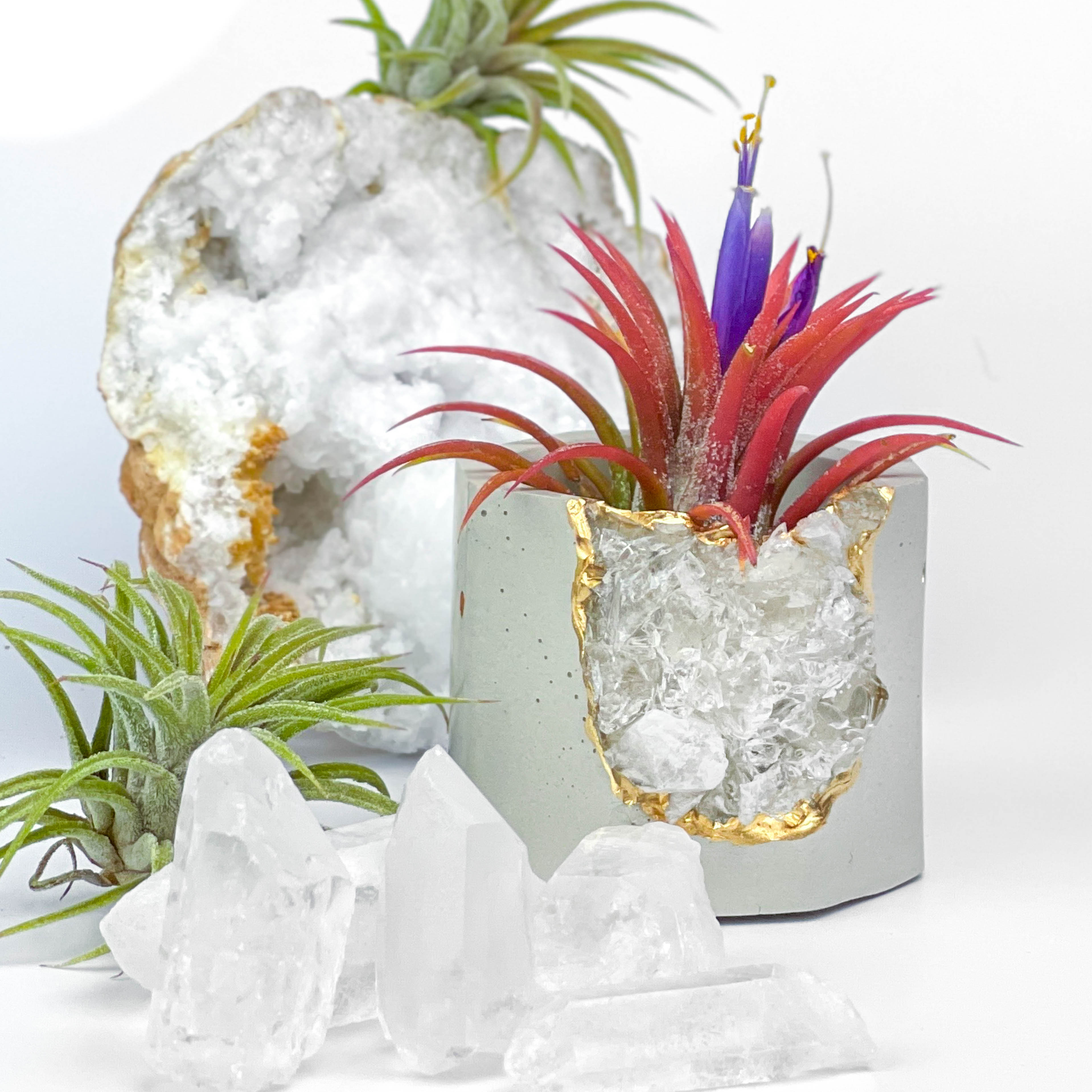 Raw CLEAR QUARTZ GEODE PLANTER AURA 8 HOME