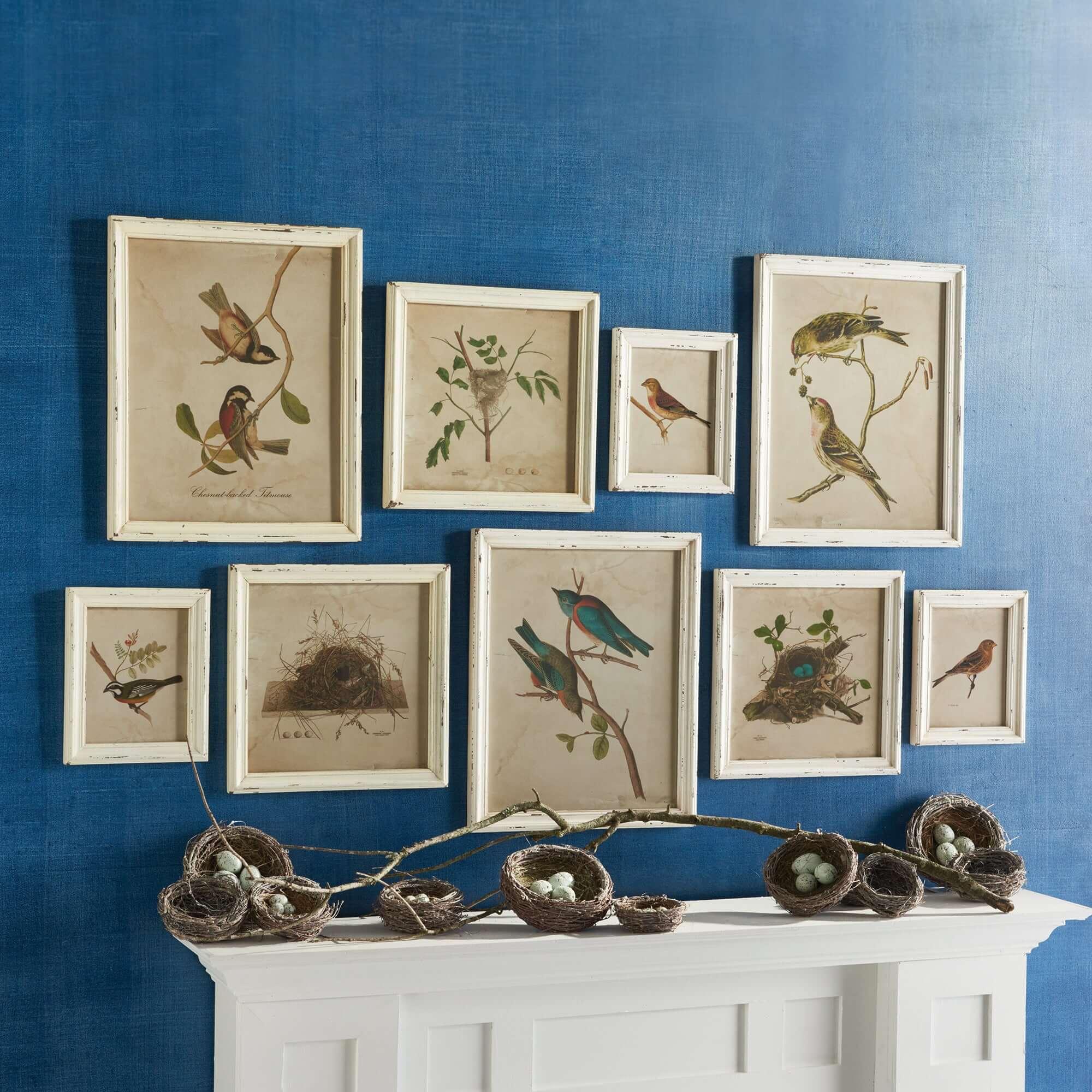 Cottagecore Bird Illustration and Nest Art Collection (Set of 9) Vintage Shopper