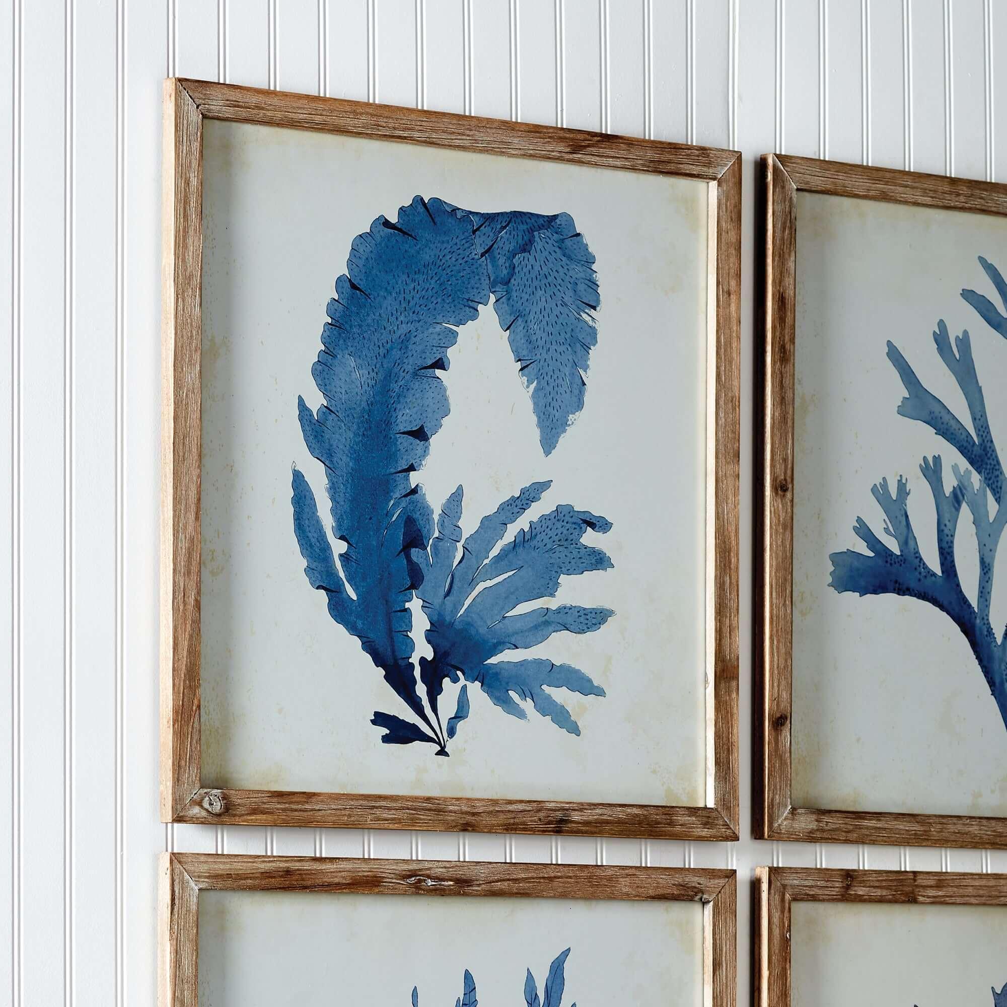 Vintage Coastal Blue Coral Prints with Whitewashed Wood Frames (Set of 4) Vintage Shopper