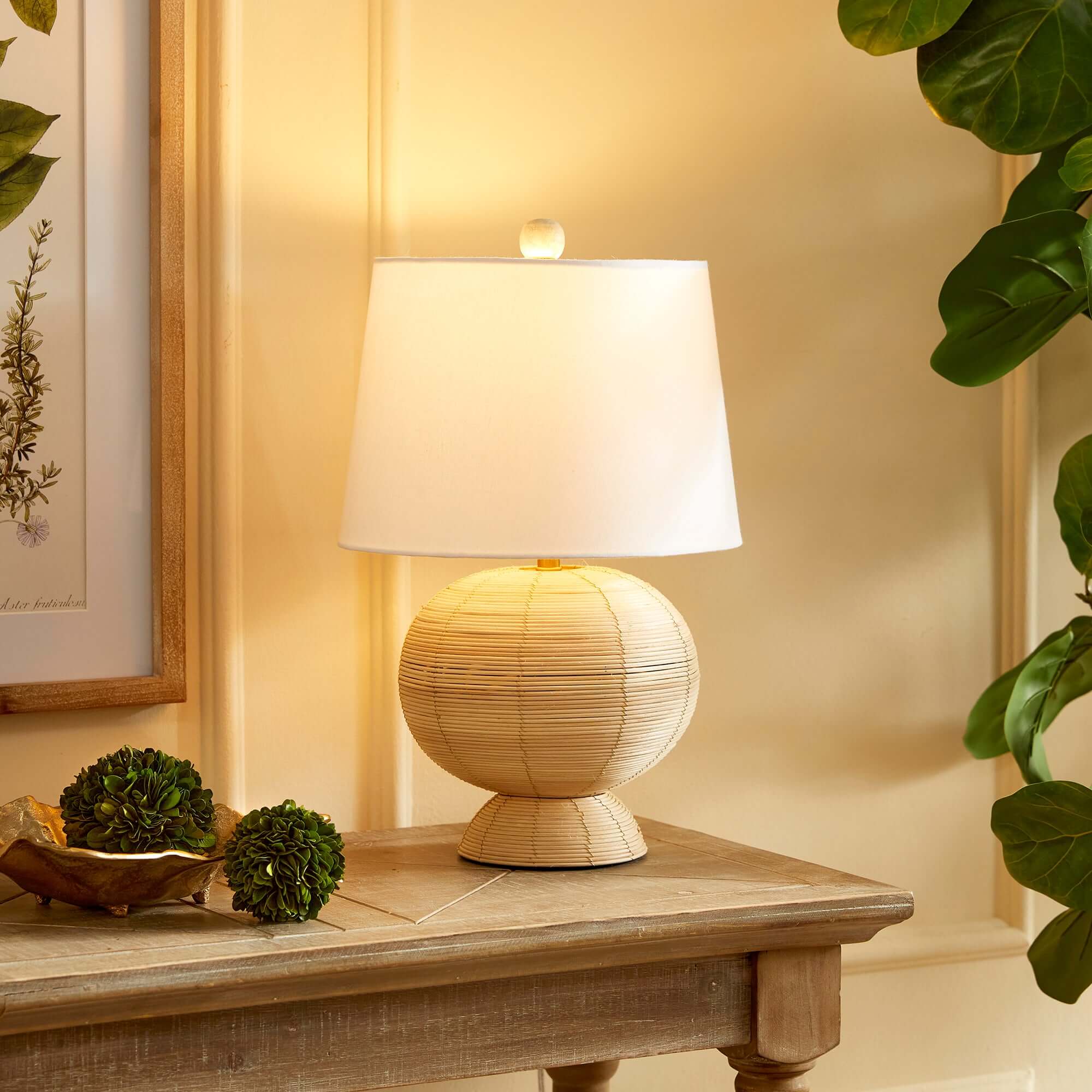 LIGHTING - House Of Avana