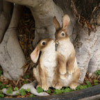 A Couple of Decorative Rabbit Figurines for Garden, Patio, Or Balcony Landscaping. House Of Avana