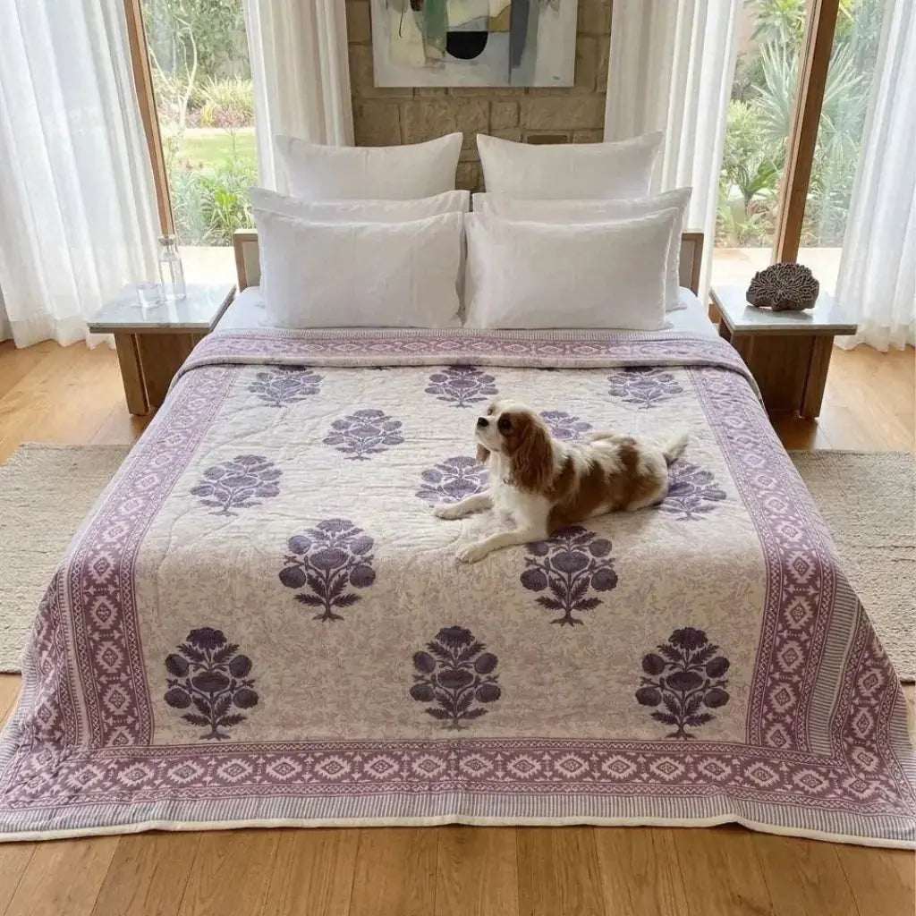 Dog lying on a patterned bedspread in a bedroom with large windows. [[SKU:HOA-IND-CM-002]]