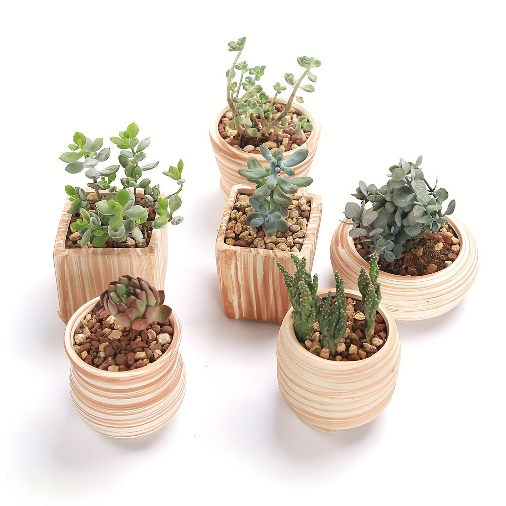 SUN-E 6pcs/Set Mini Plant Pots Pattern Succulent Plant Pot Cactus Pot Flower Pot Decorative Ceramic Planter for Home House Office Outdoor Garden Container Planter Perfect Gift Idea for Women with Drain Hole 2.5Inch/6.5cm (Pla House Of Avana