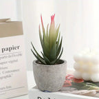 S Mini Artificial Succulent Set - Modern Plastic Faux Plants in Gray Concrete Pots for Home Decor,... - House Of Avana