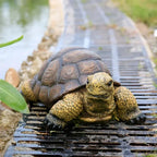 Exquisite Turtle Statue Decoration, Resin Handicraft, Artistic Simulation Animal Sculpture, Suitable for... - House Of Avana