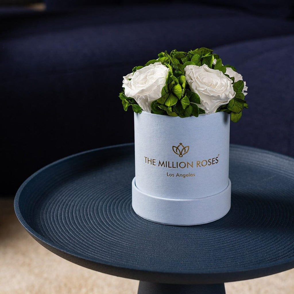 Basic Light Blue Suede Garden Box | White Roses The Million Roses