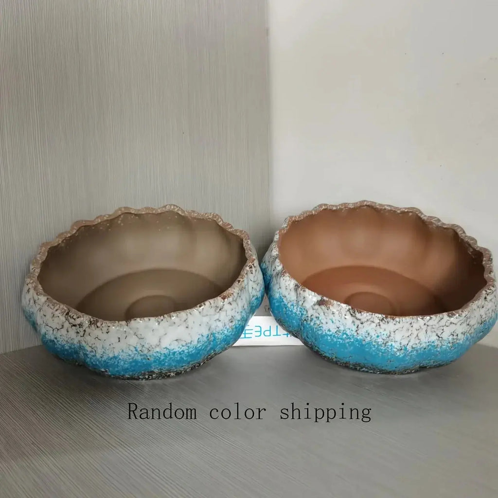 Casual Style Ceramic Flower Pot, Round Tabletop Hydroponic Planter, for Bulbs, Succulents, and Lotus,... - House Of Avana