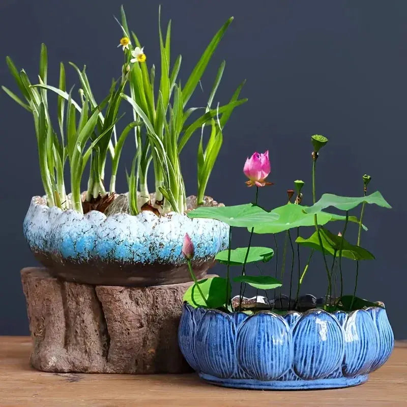 Casual Style Ceramic Flower Pot, Round Tabletop Hydroponic Planter, for Bulbs, Succulents, and Lotus,... - House Of Avana