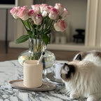 1pc Bohemian Style Pen Holder with Stone Pattern, Multi-Functional Desktop Organizer for Office Desk, Cute Aesthetic Makeup Brush Storage Box, Portable Polished Finish, Ideal for Home Office Art Supplies, Office Supplies And House Of Avana