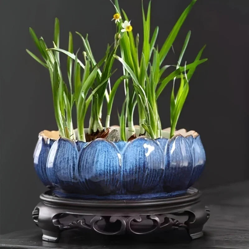 ceramic hydroponic planter 1pc Casual Style Ceramic Flower Pot, Round Tabletop Hydroponic Planter –  House Of Avana