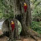 Parrot Design Outdoor Statue, 1pc Garden Animal Ornament, Hanging Tree Parrot Decoration Sculpture, Simulated Parrot for Outdoor Garden and Landscape Design, Dly Garden Artwork, Resin Craftsmanship for Patio Lawn Decor, Add C House Of Avana