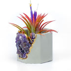 AMETHYST GEODE PLANTER AURA 8 HOME