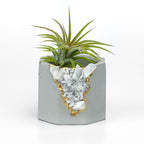 RAW MOONSTONE GEODE PLANTER AURA 8 HOME