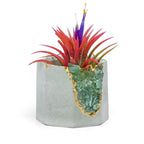 GREEN APATITE GEODE PLANTER AURA 8 HOME