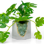 GREEN APATITE GEODE PLANTER AURA 8 HOME