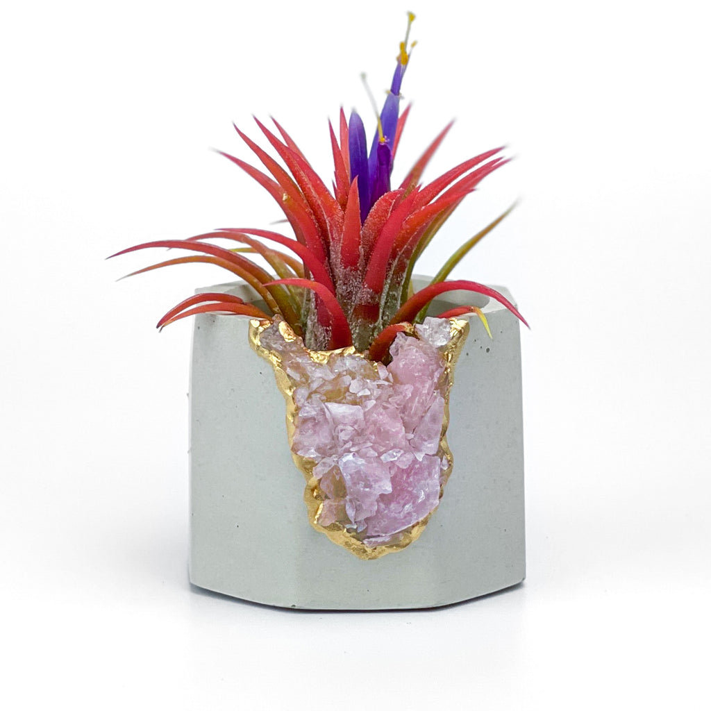 Raw ROSE QUARTZ GEODE PLANTER AURA 8 HOME