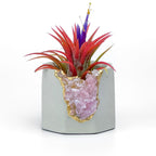 Raw ROSE QUARTZ GEODE PLANTER AURA 8 HOME