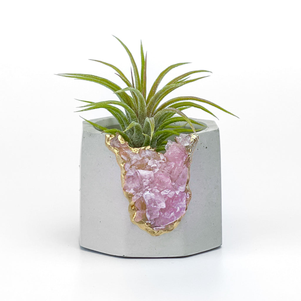 Raw ROSE QUARTZ GEODE PLANTER AURA 8 HOME