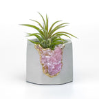 Raw ROSE QUARTZ GEODE PLANTER AURA 8 HOME