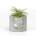 Raw CLEAR QUARTZ GEODE PLANTER AURA 8 HOME