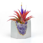 Brazil AMETHYST GEODE PLANTER AURA 8 HOME