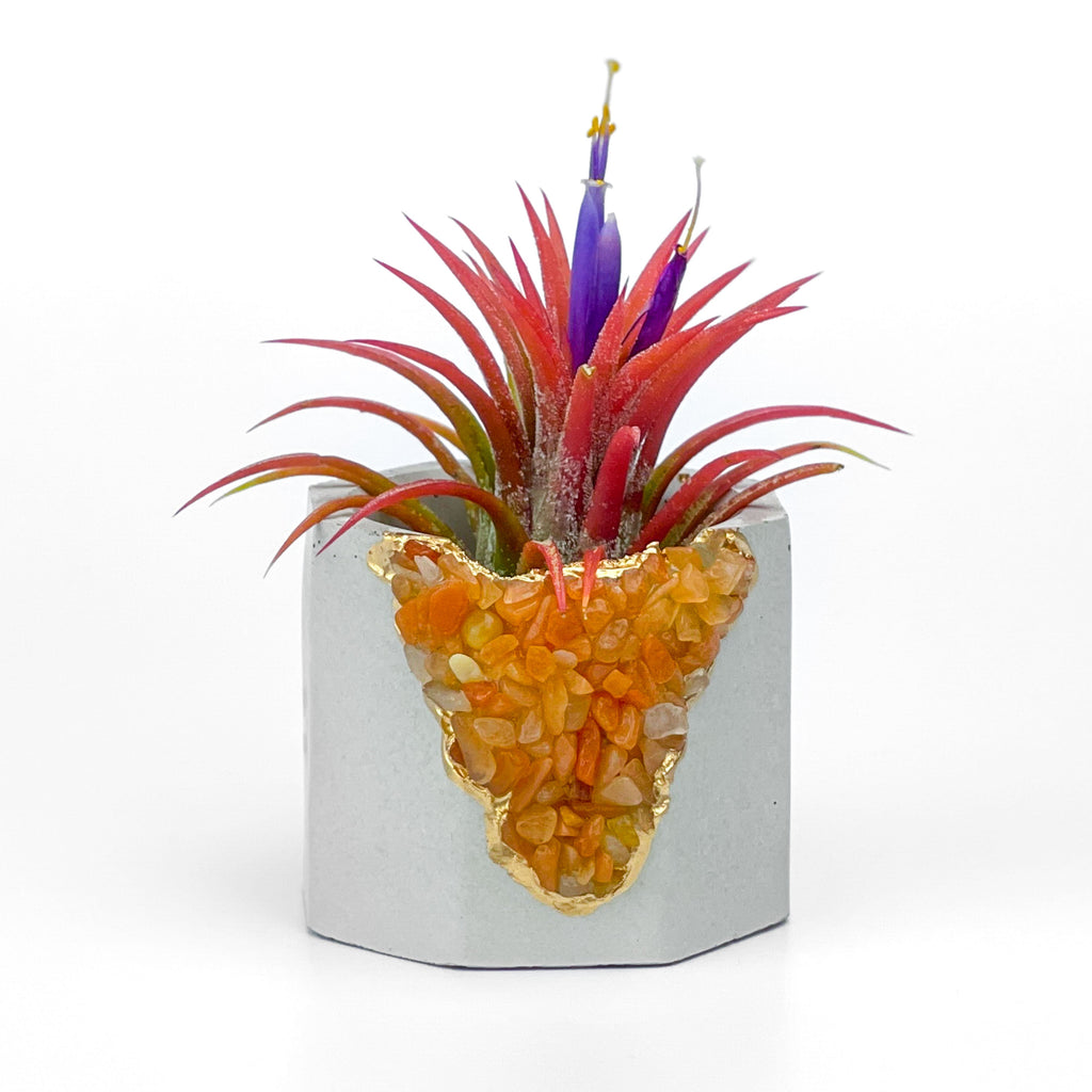 RED AVENTURINE GEODE PLANTER AURA 8 HOME
