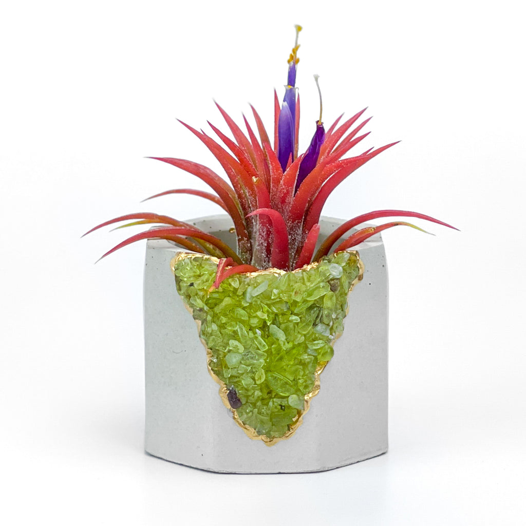 GREEN PERIDOT GEODE PLANTER AURA 8 HOME
