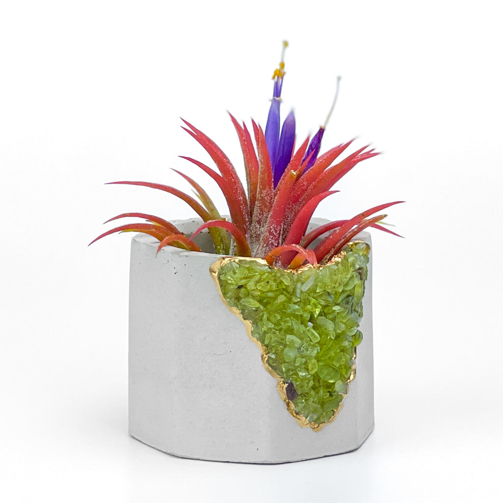 GREEN PERIDOT GEODE PLANTER AURA 8 HOME