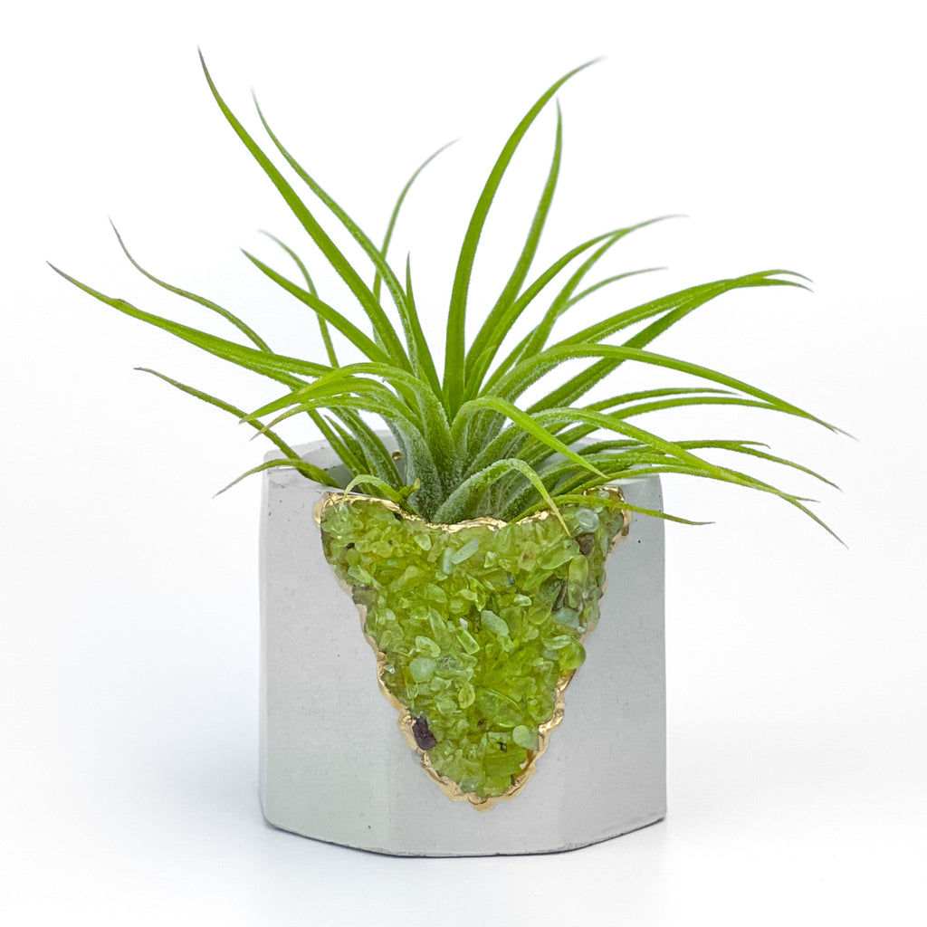GREEN PERIDOT GEODE PLANTER AURA 8 HOME