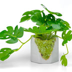GREEN PERIDOT GEODE PLANTER AURA 8 HOME