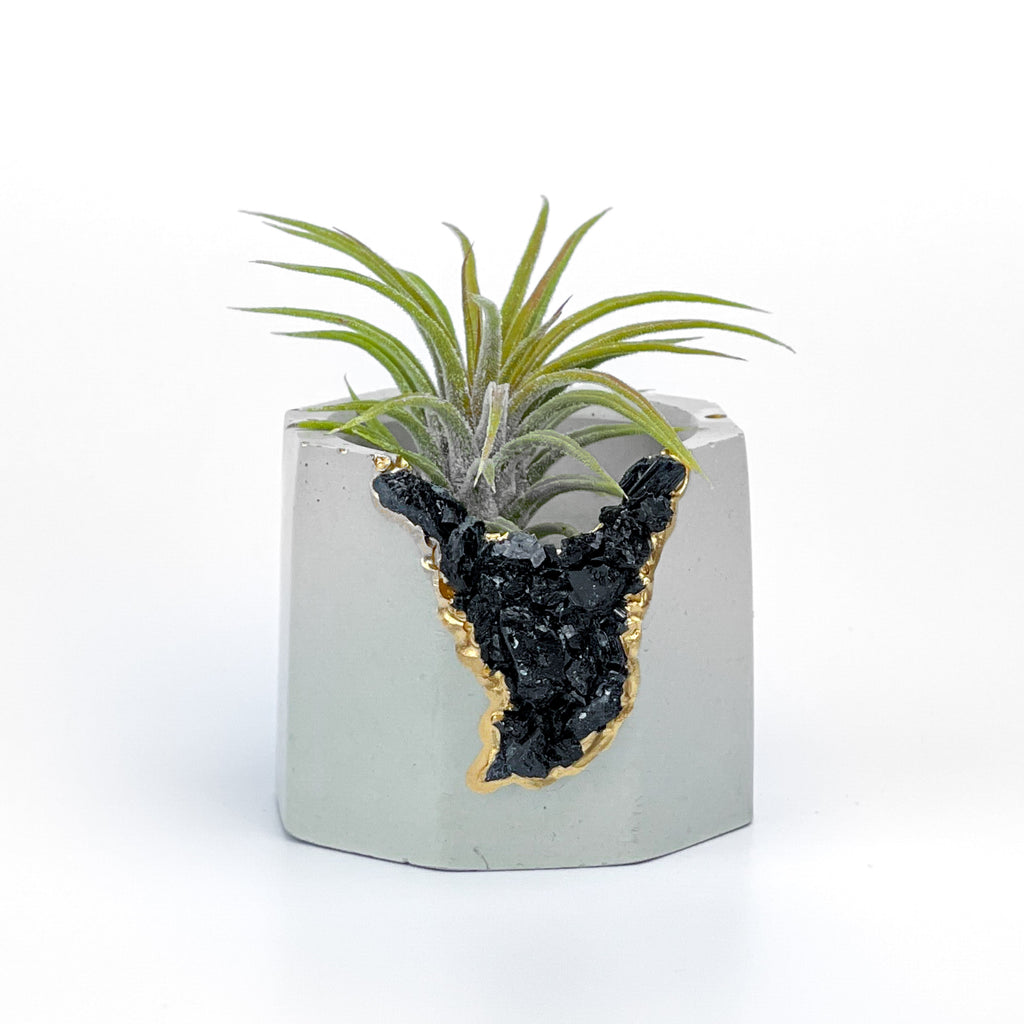 BLACK TOURMALINE GEODE PLANTER AURA 8 HOME