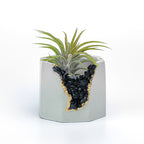BLACK TOURMALINE GEODE PLANTER AURA 8 HOME