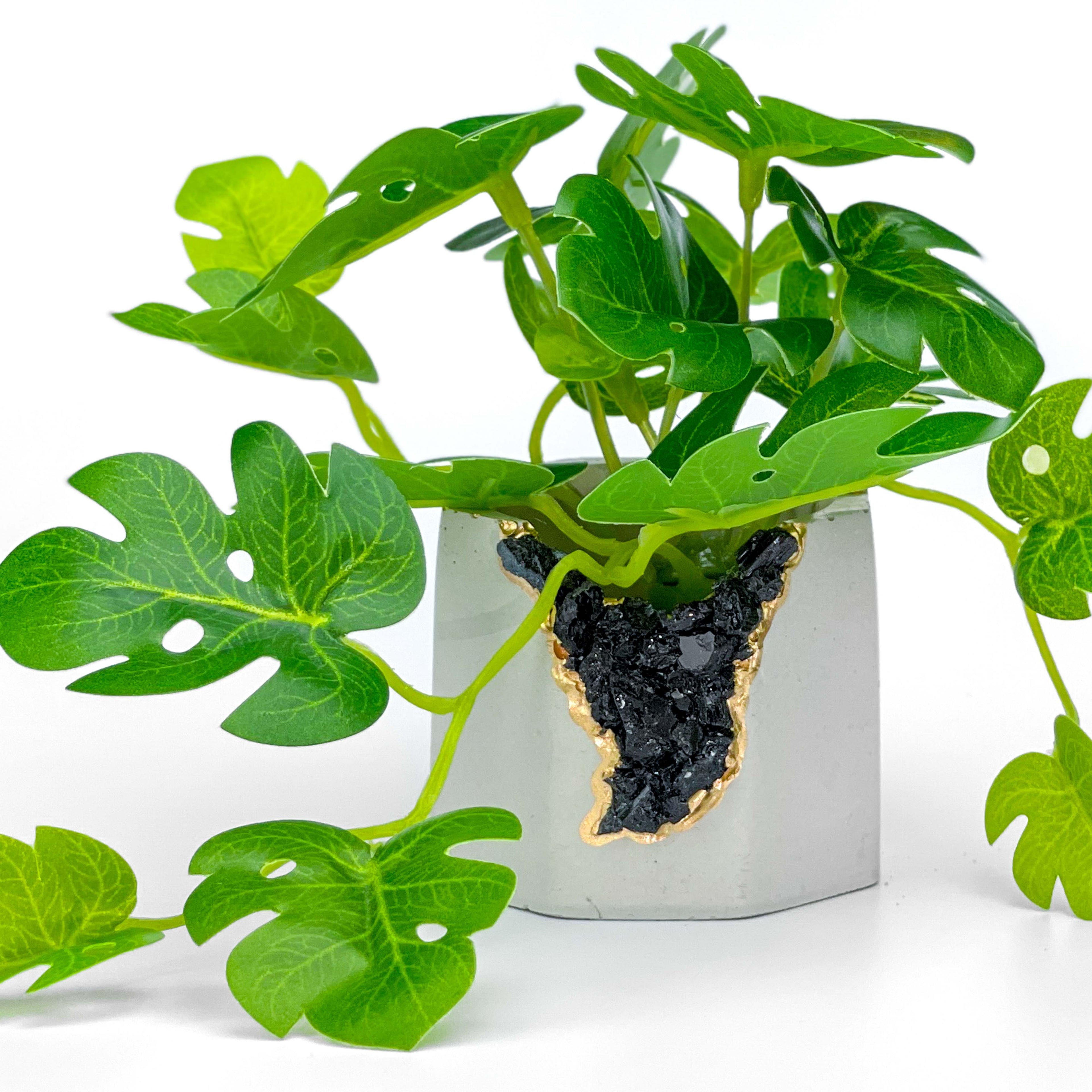 BLACK TOURMALINE GEODE PLANTER AURA 8 HOME