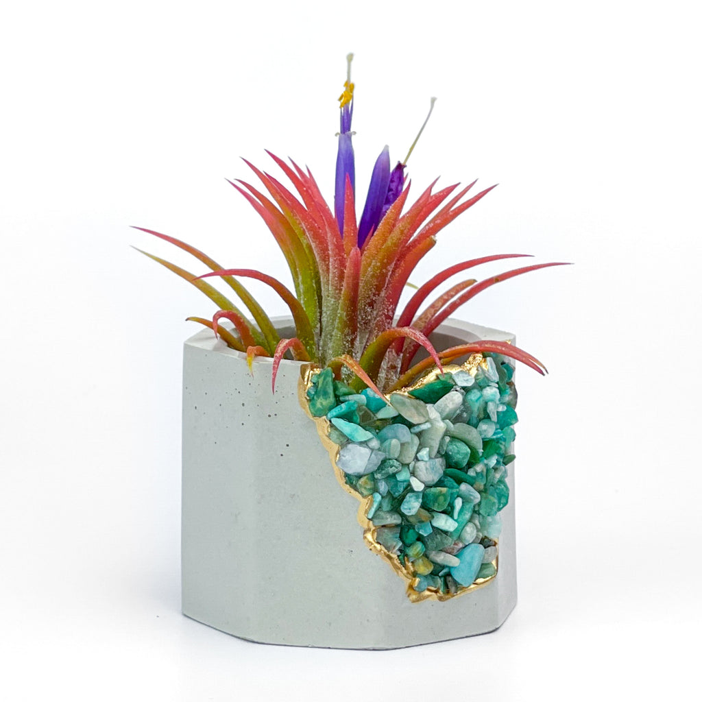 AMAZONITE GEODE PLANTER AURA 8 HOME