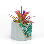 AMAZONITE GEODE PLANTER AURA 8 HOME