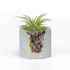 TOURMALINE GEODE PLANTER AURA 8 HOME