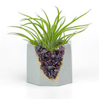 GARNET GEODE PLANTER AURA 8 HOME