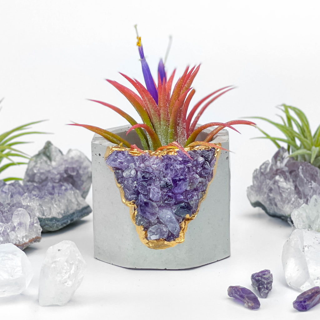 AMETHYST GEODE PLANTER AURA 8 HOME