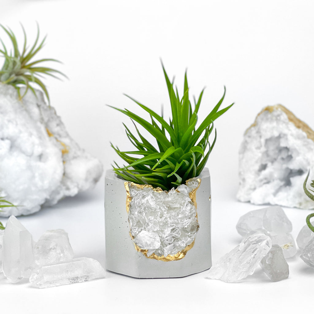 Raw CLEAR QUARTZ GEODE PLANTER AURA 8 HOME