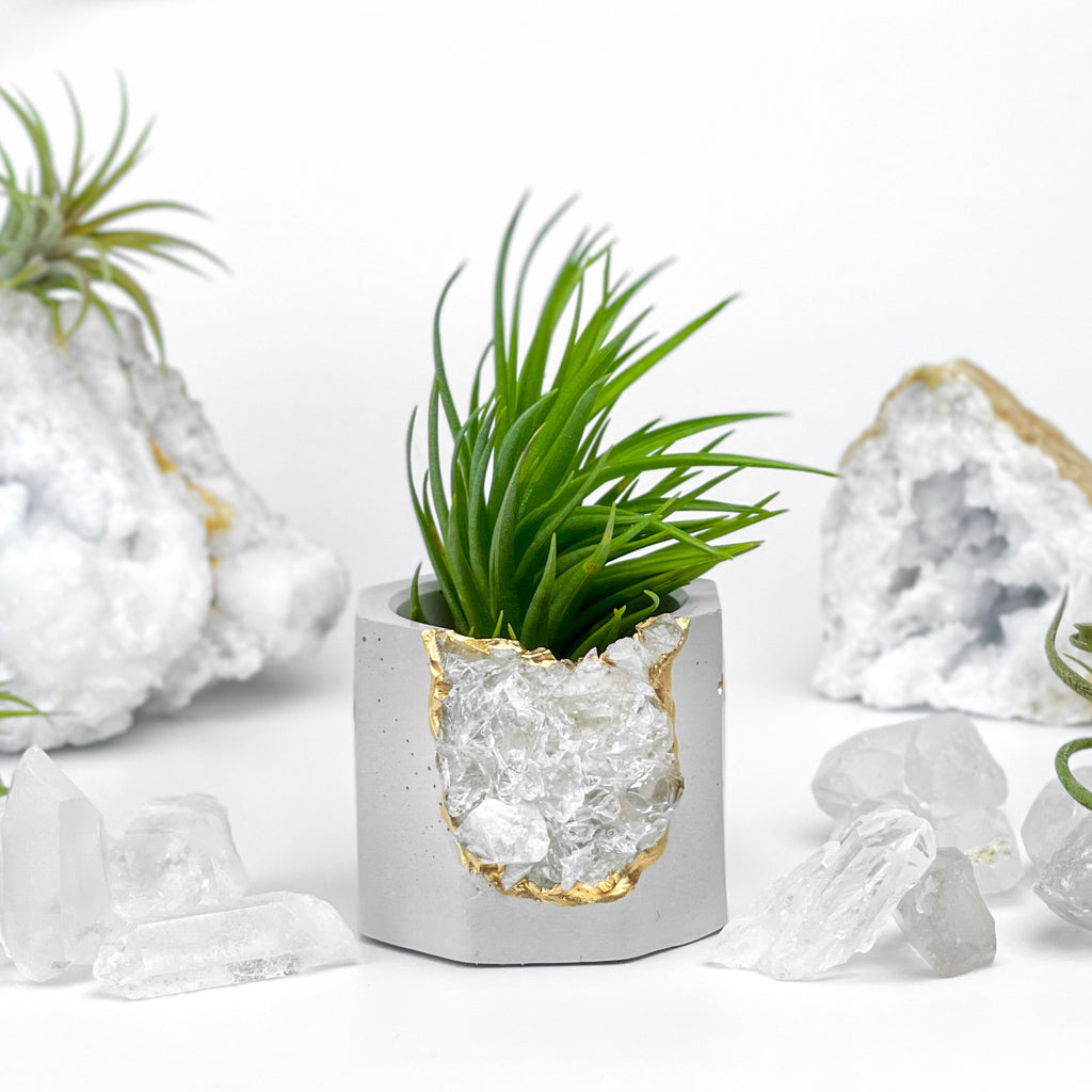 Raw CLEAR QUARTZ GEODE PLANTER AURA 8 HOME