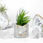 Raw CLEAR QUARTZ GEODE PLANTER AURA 8 HOME