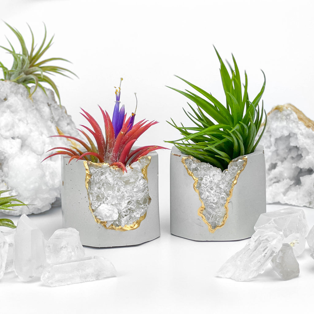 Raw CLEAR QUARTZ GEODE PLANTER AURA 8 HOME