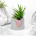 ROSE QUARTZ GEODE PLANTER AURA 8 HOME