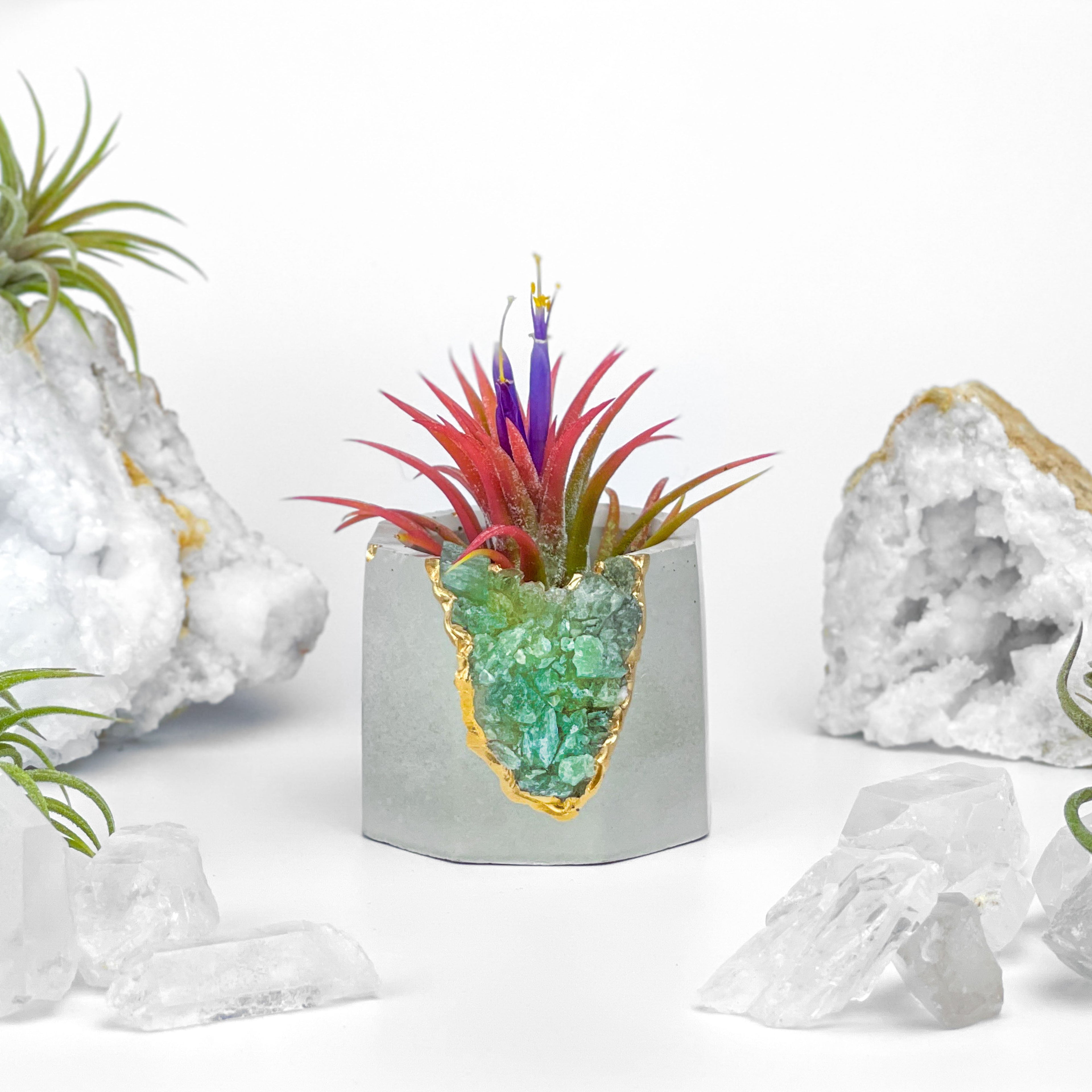 GREEN APATITE GEODE PLANTER AURA 8 HOME
