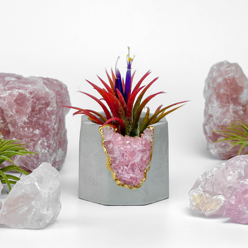 ROSE QUARTZ GEODE PLANTER AURA 8 HOME