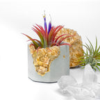 ORANGE CALCITE GEODE PLANTER AURA 8 HOME