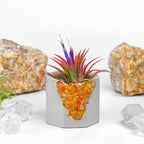 RED AVENTURINE GEODE PLANTER AURA 8 HOME